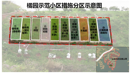 柑橘示范基地分区措施示意图