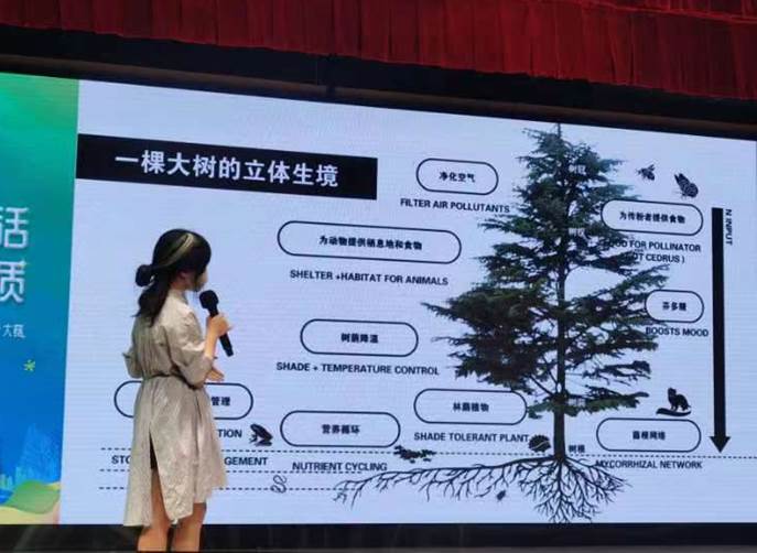 图形用户界面, 网站
描述已自动生成