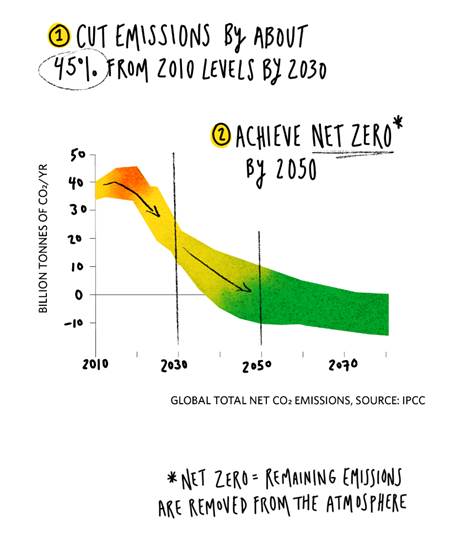 https://www.nature.org/content/dam/tnc/nature/en/graphics/general/GlobalInsights_CarbonMarkets_Graphic02_Web.png