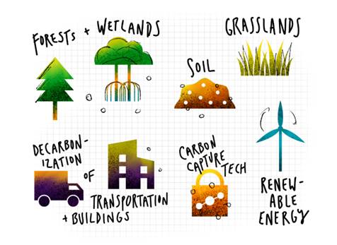 Illustration showing forests, wetlands, grasslands, soil, decarbonization of transportation and buildings, carbon capture technology, and renewable energy visuals.