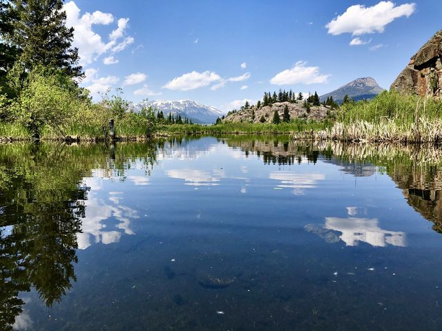 A view of a body of water surrounded by aquatic vegetation, trees, rocky hills, and distant mountains.