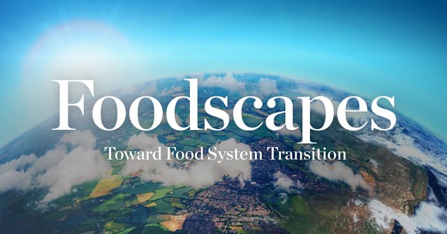 Photo of cover of Foodscapes Report