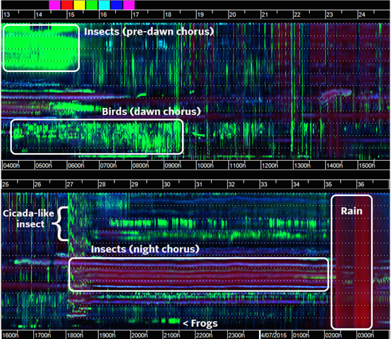 A screenshot of a computer
Description automatically generated