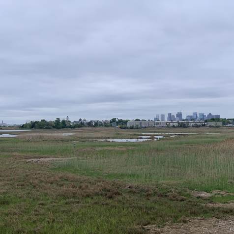 Belle Isle Marsh in the foreground, with Boston Logan Airport and the Boston skyline in the background.