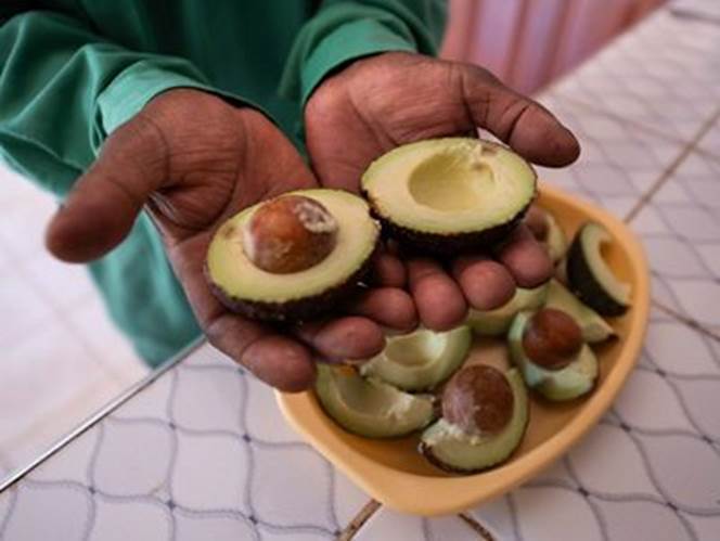 Fresh Avocado