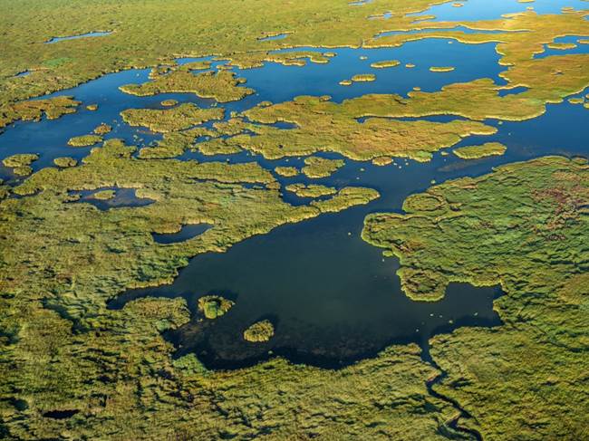 aerial view of coastal wetlands