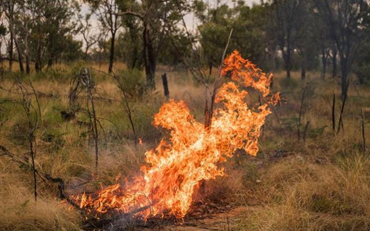 a small controlled burn in a dry grassland.