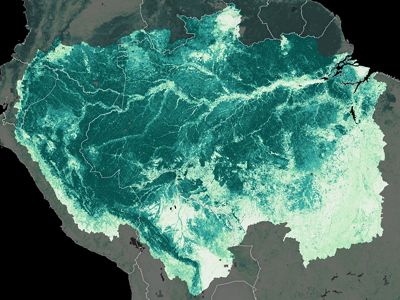Map showing biomass density in the Amazon.