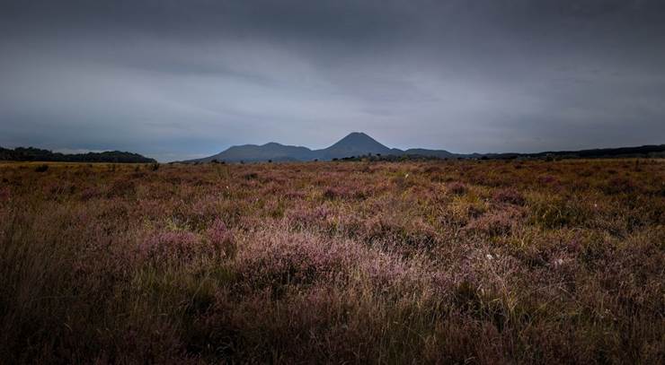 Landscape view looking across a vast peatland, with a mountain in the far distance.