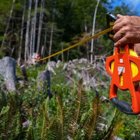 A close up of a person's hands using a tape measure for forest management in Canada.