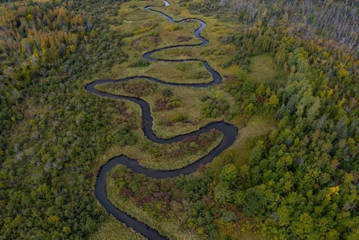A river winding through a forest.