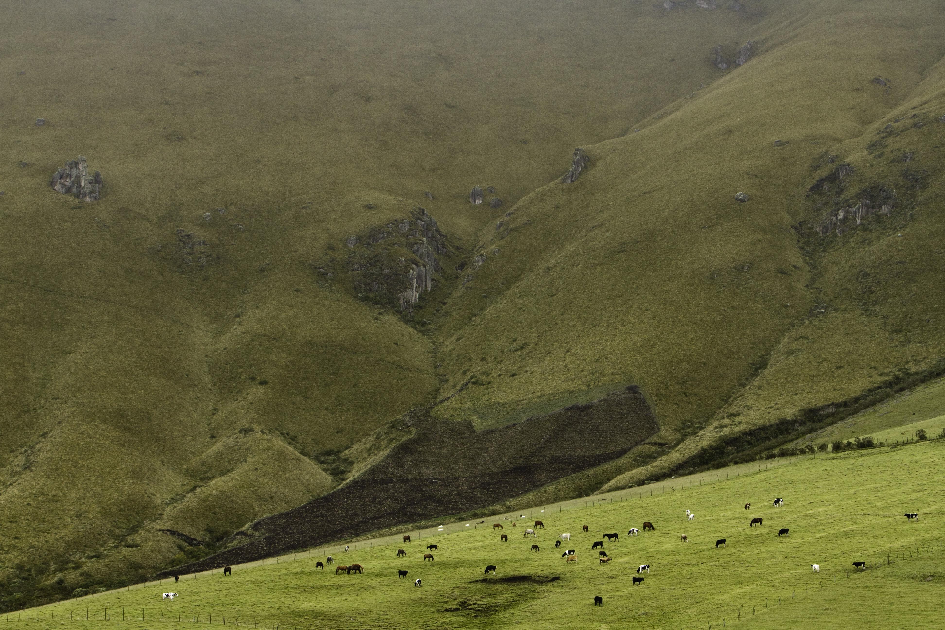 2000 TNC TNC 2000-tnc-tnc